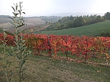 Colori d'autunno