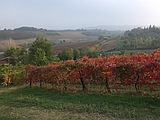 Colori d'autunno