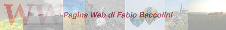 Pagina Web di Fabio Baccolini